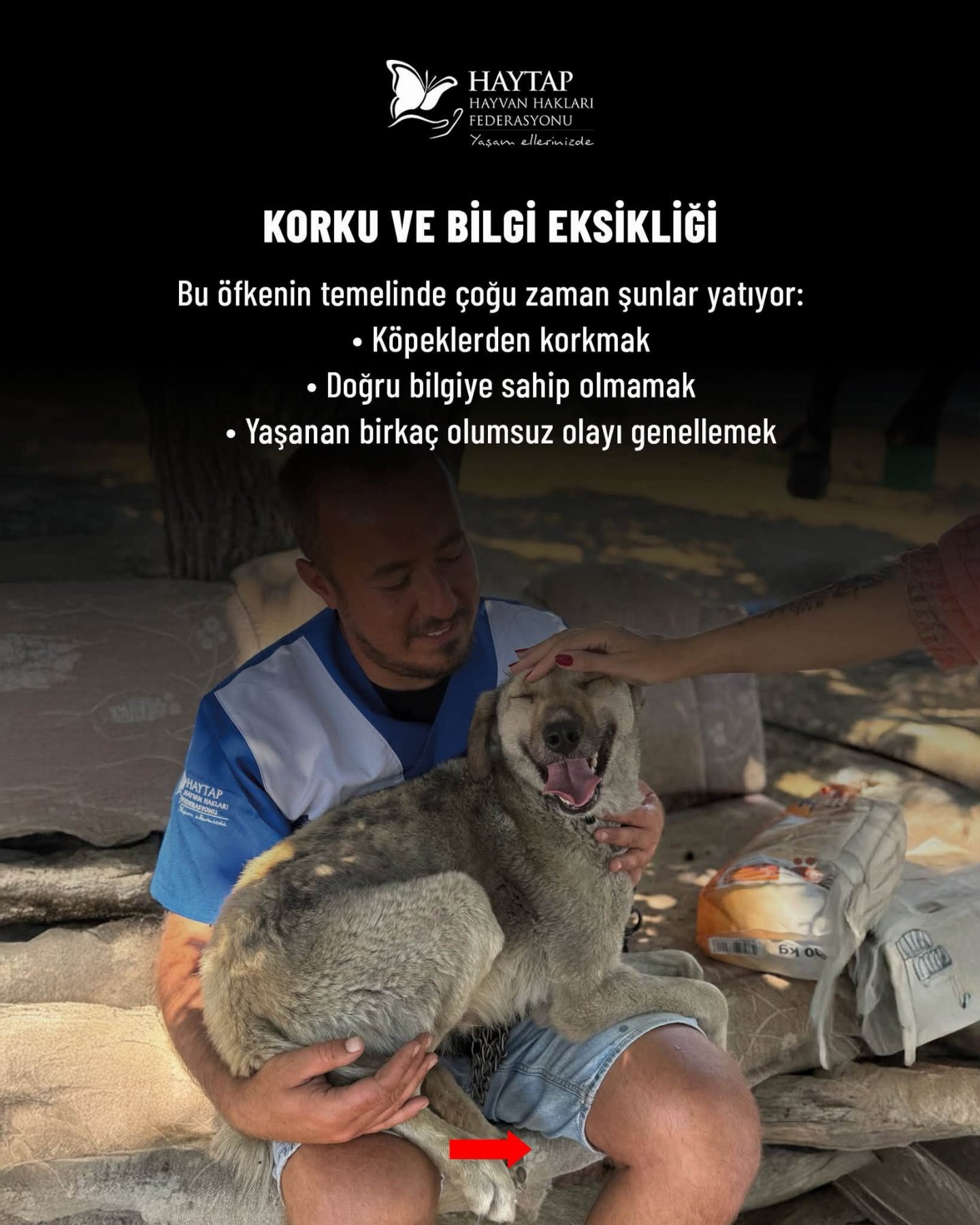haytap