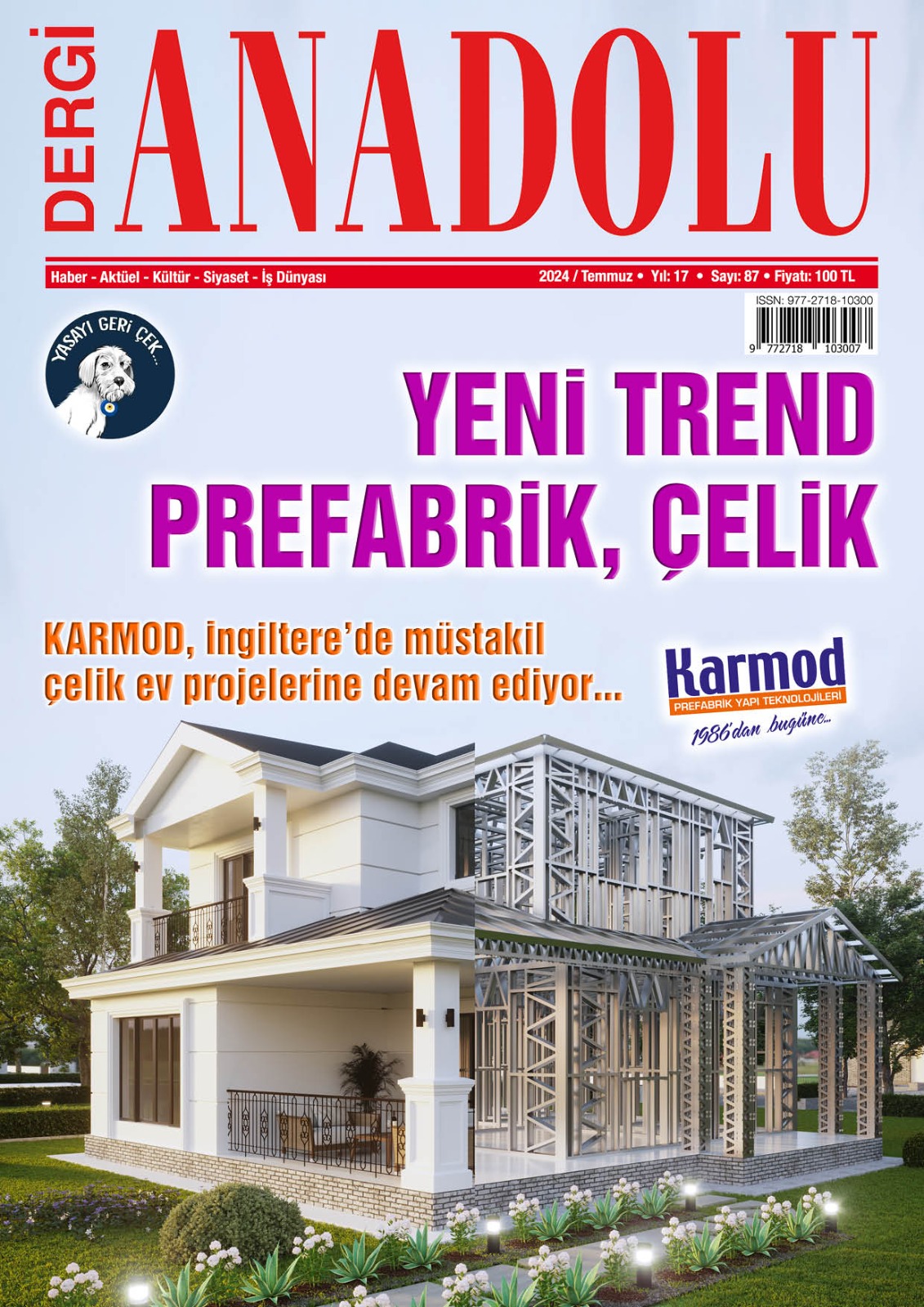 87 kapağı